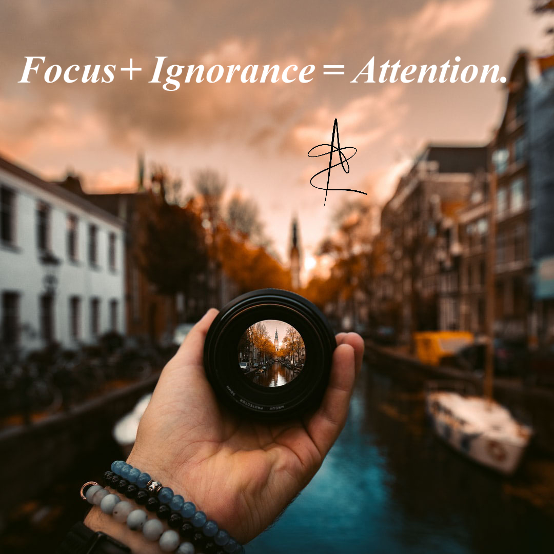 You are currently viewing Focus + Ignorance = Attention | Quote